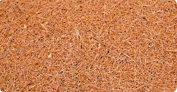 Кокосова койра